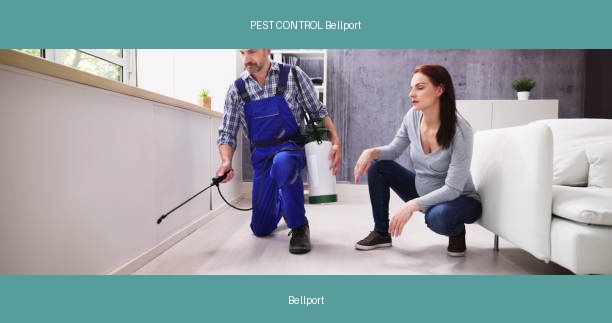 PEST CONTROL Bellport